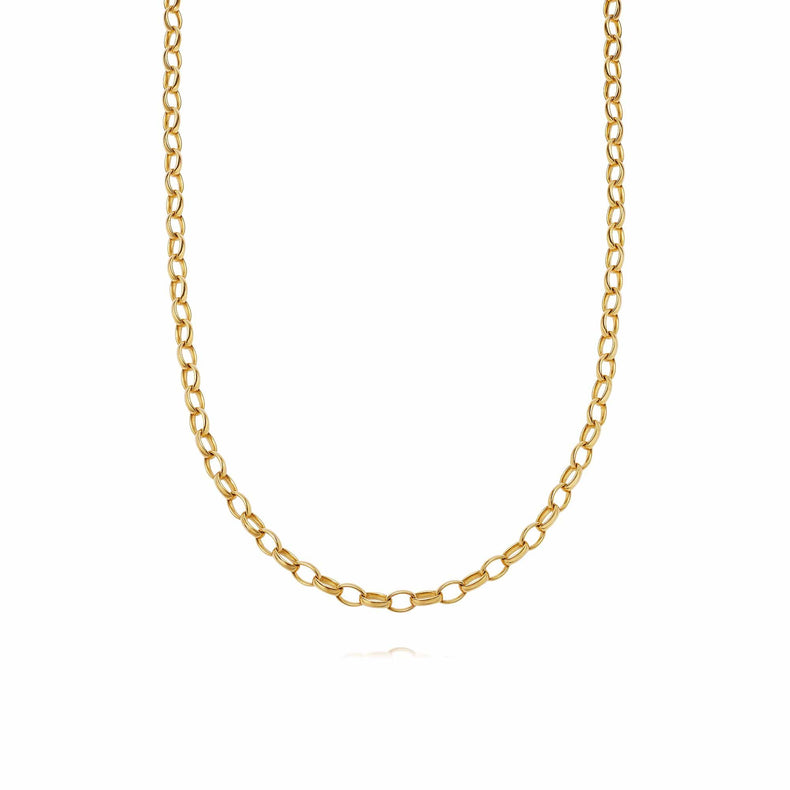 Estée Lalonde Chunky Chain Necklace 18Ct Gold Plate recommended