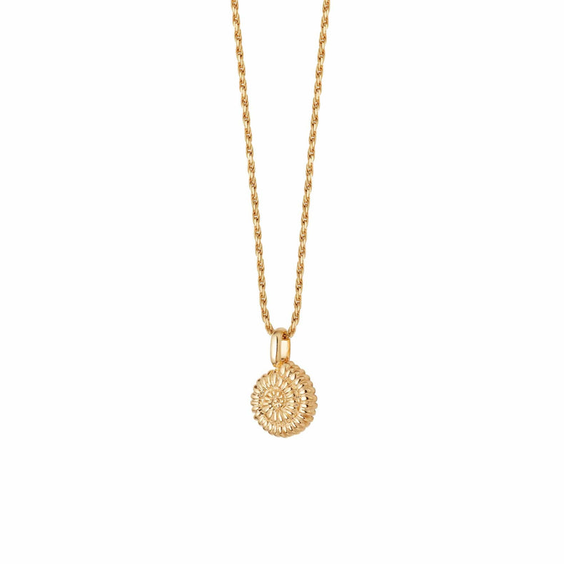 Sundial Shell Necklace 18ct Gold Plate recommended