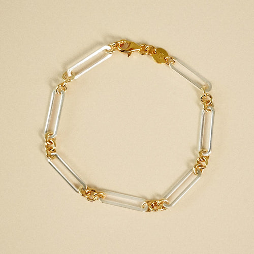 Polly Newman Mixed Metal Paperclip Chain Bracelet Silver Plate