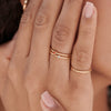 option: red coral