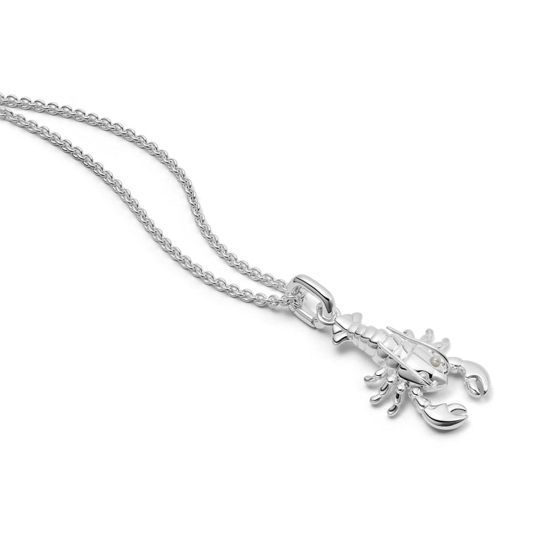 Lobster Chain Necklace Sterling Silver