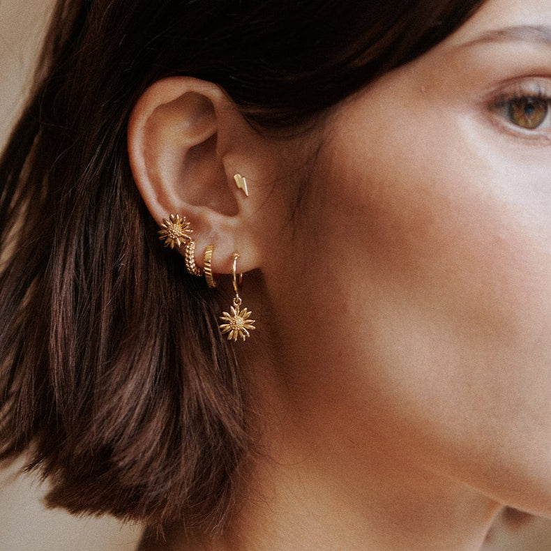 Michaelmas Daisy Stud Earrings 18ct Gold Plate