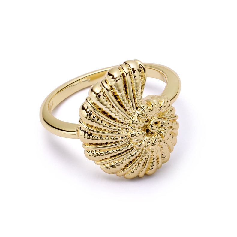 Polly Shell Ring 18ct Gold Plate
