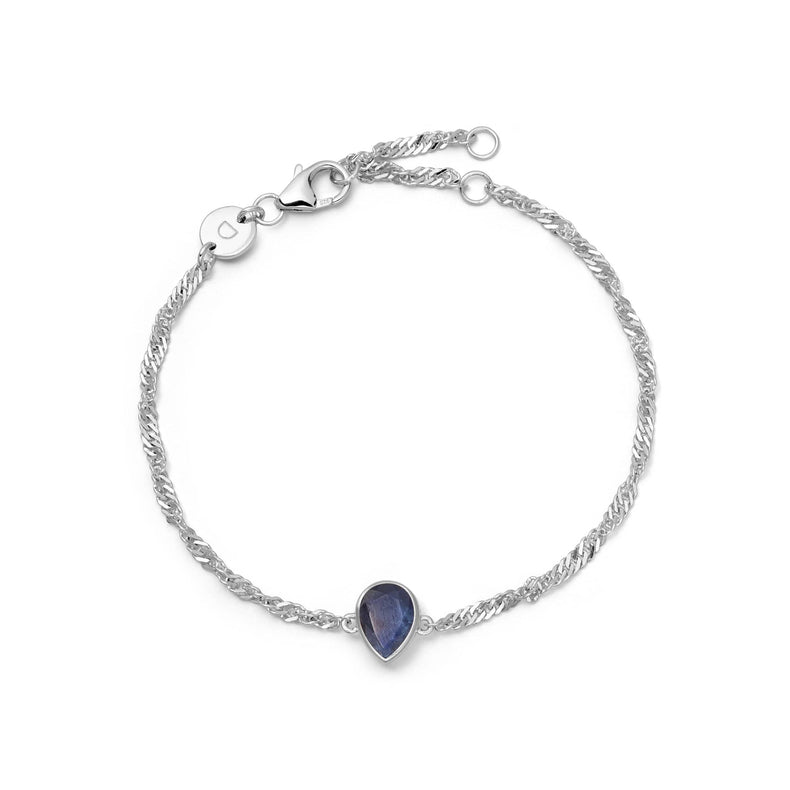 Sapphire September Birthstone Charm Bracelet Sterling Silver recommended