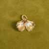 Shrimps Shell Locket Charm Necklace 18ct Gold Plate