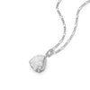 Shrimps Shell Locket Charm Necklace Silver Plate