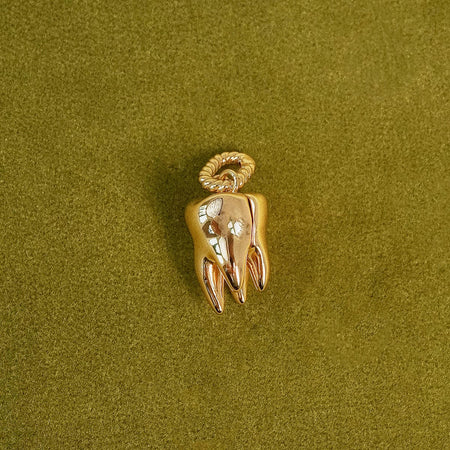 Shrimps Tooth Locket Charm 18ct Gold Plate recommended