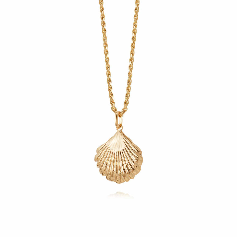 Isla Large Shell Necklace 18Ct Gold Plate recommended