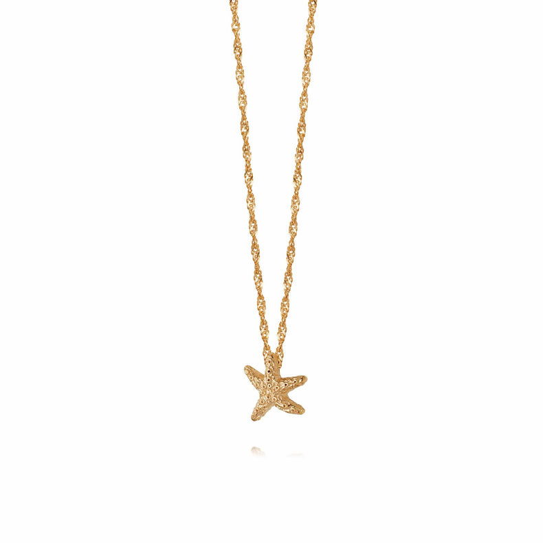 Isla  Starfish Chain Necklace 18Ct Gold Plate recommended