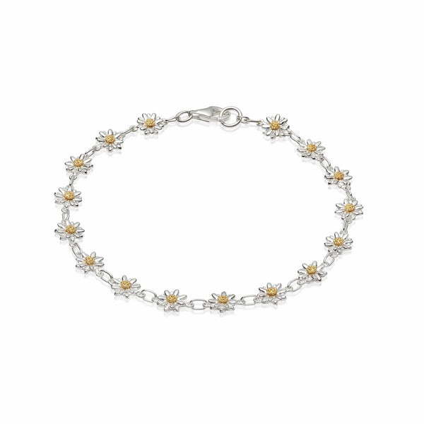 Daisy London Isla Fossil Bracelet - Jewellery from David Mellor Family  Jewellers UK