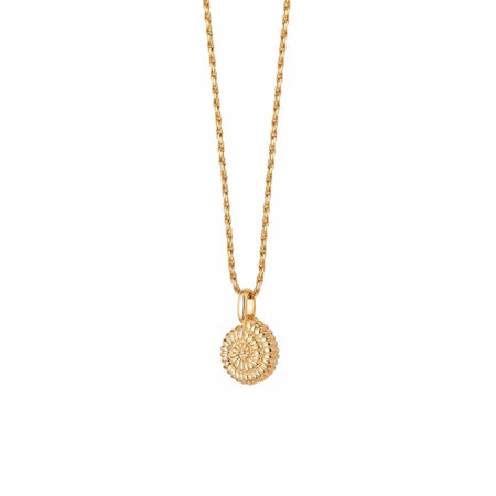 Sundial Shell Necklace 18ct Gold Plate recommended